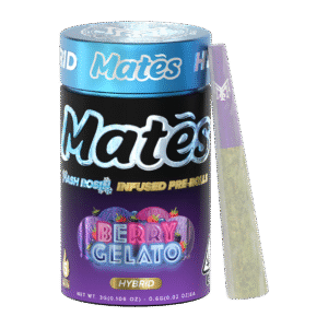BERRY GELATO | HYBRID