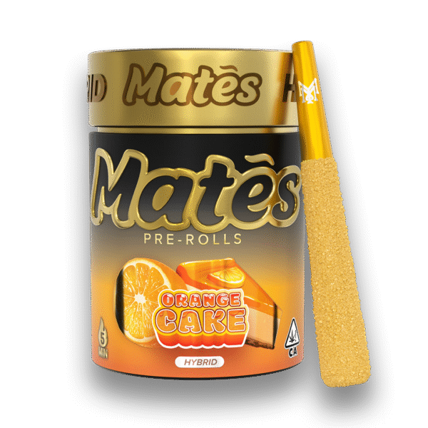ORANGE CAKE | HYBRID