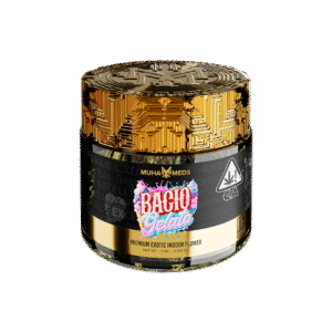 BACIO GELATO | HYBRID